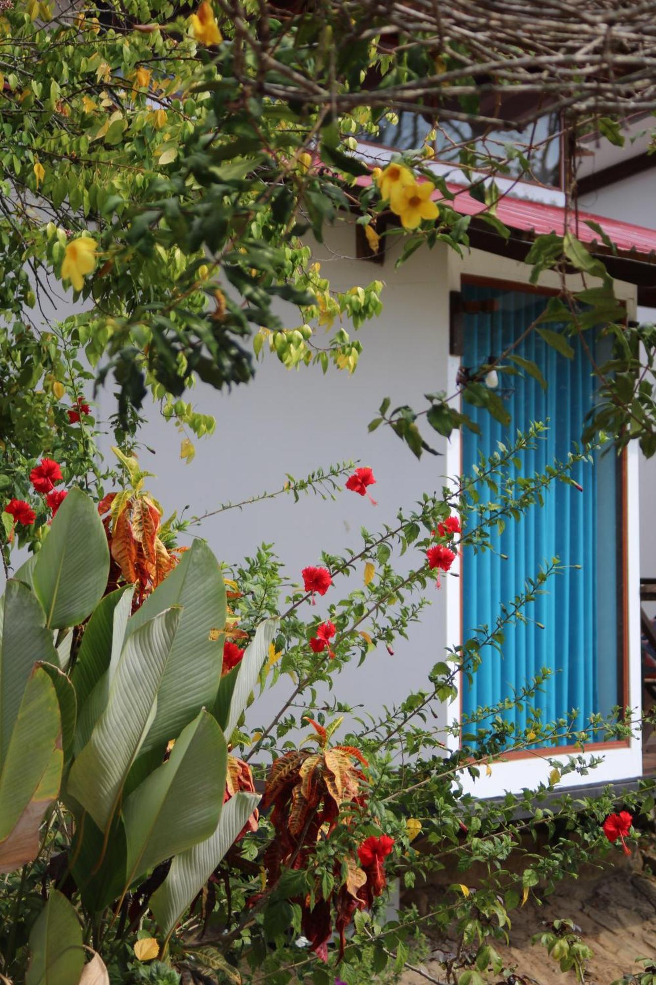 Hacienda Don Vicente Bungalows-Tarapoto Bagian luar foto
